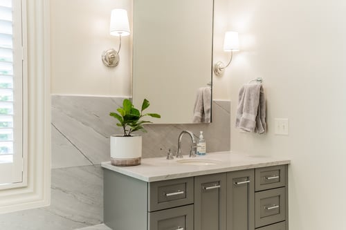 Compact vanity with potted plant and chrome faucet in a Charlotte, NC renovation
