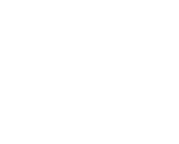 Carolina-Custom2-252x202