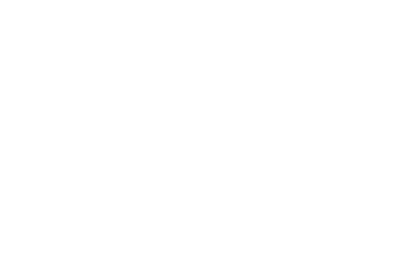 Palmetto-Road1